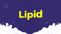 Lipid