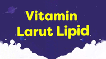 Vitamin Larut Lipid