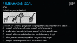 Pembahasan