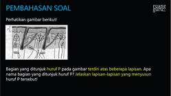 Pembahasan