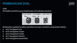 Pembahasan