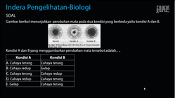 Pembahasan