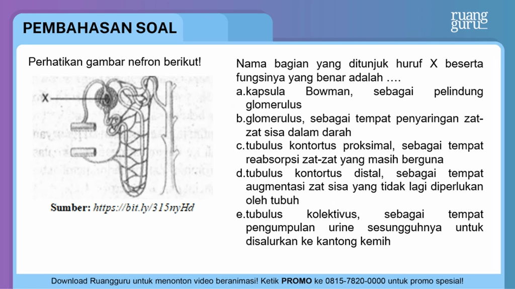 26++ Bagian yang ditunjukkan oleh huruf x adalah information