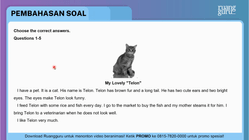 Pembahasan