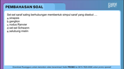 Pembahasan