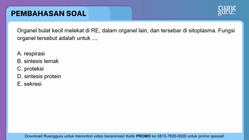 Pembahasan