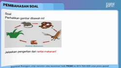 Pembahasan