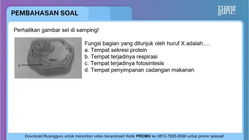 Pembahasan