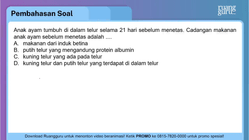 Pembahasan