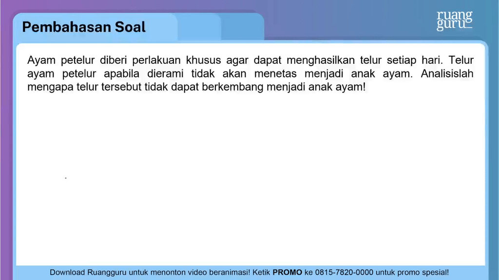 Ayam Petelur Diberi Perlakuan Khusus / Tolong Ya Kak Hari ...