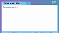 Pembahasan