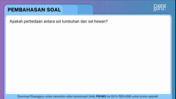 Pembahasan