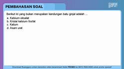 Pembahasan