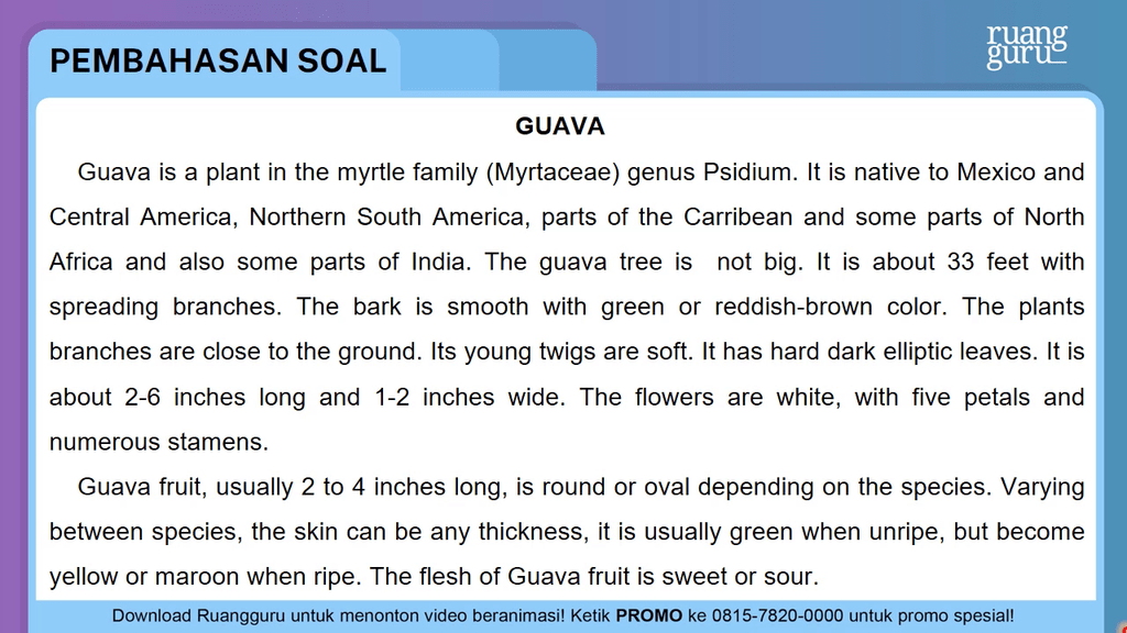 What Is The Text About Guava What Is The Text About Guava