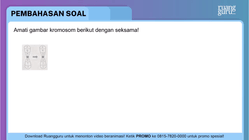 Pembahasan