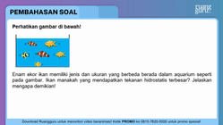 Pembahasan