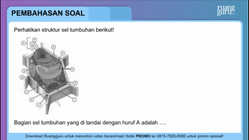 Pembahasan