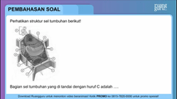 Pembahasan