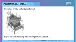 Pembahasan