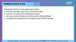 Pembahasan