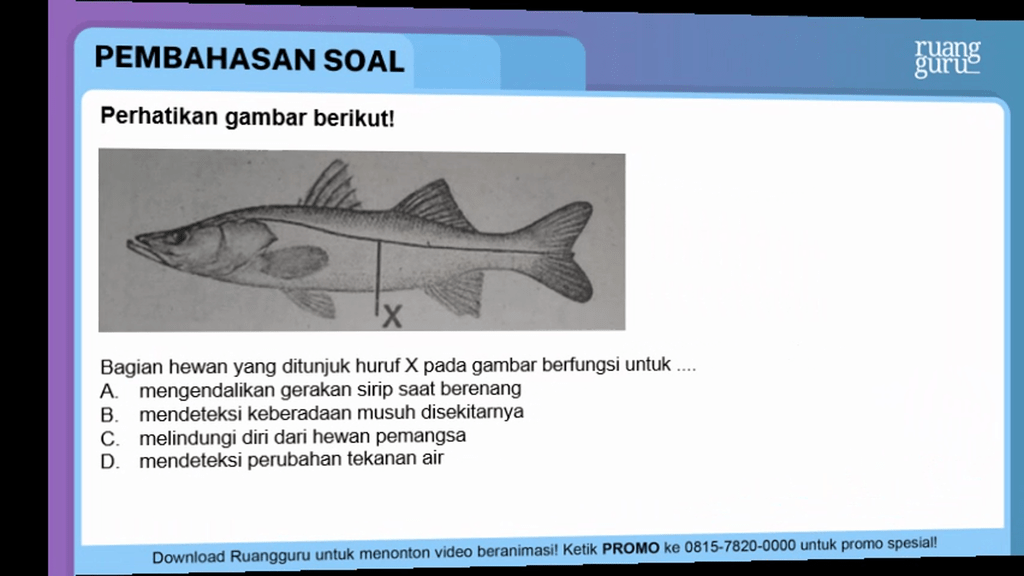 Perhatikan gambar berikut! Bagian hewan yang di