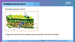 Pembahasan