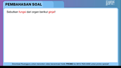 Pembahasan