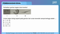 Pembahasan