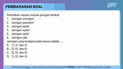 Pembahasan