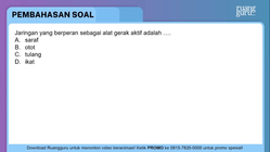 Pembahasan