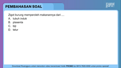 Pembahasan