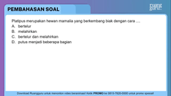 Pembahasan