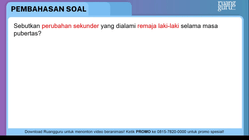 Pembahasan