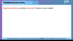 Pembahasan