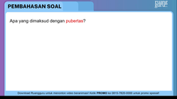 Pembahasan