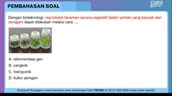 Pembahasan
