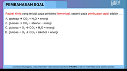 Pembahasan