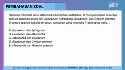 Pembahasan