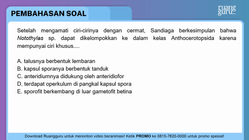 Pembahasan