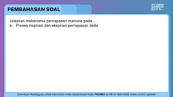 Pembahasan