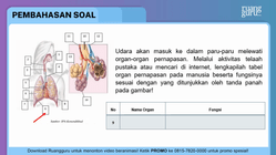 Pembahasan