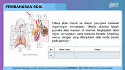 Pembahasan