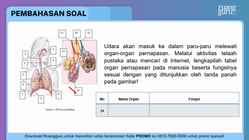 Pembahasan