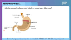 Pembahasan