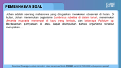 Pembahasan