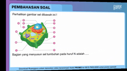 Pembahasan
