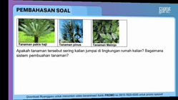 Pembahasan