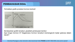 Pembahasan