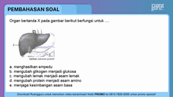 Pembahasan