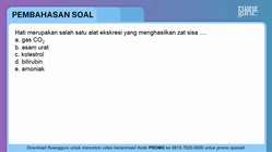 Pembahasan